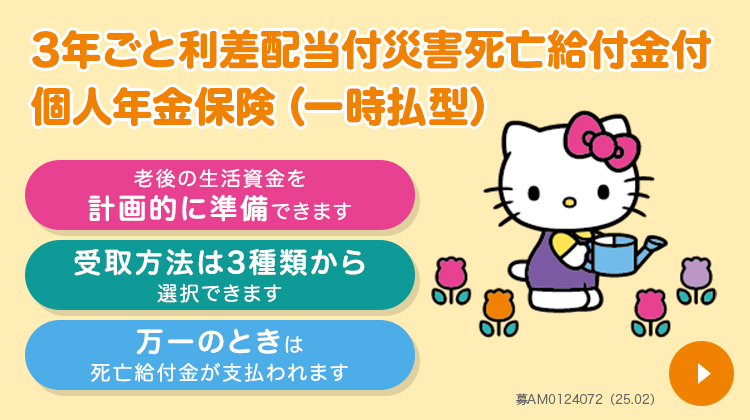 【匿名送料込】爆笑問題、日本生命保険、保険製品ご案内ビデオ 保険商品のご案内｜保険｜琉球銀行